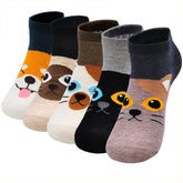 Cats Ankle Socks for Women - 5 Pairs