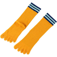 Classic Design 5 Finger Crew Socks for Women - 4 Pairs