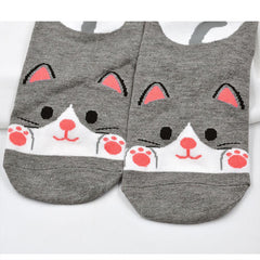 Animal Socks for Women - 5 Pairs